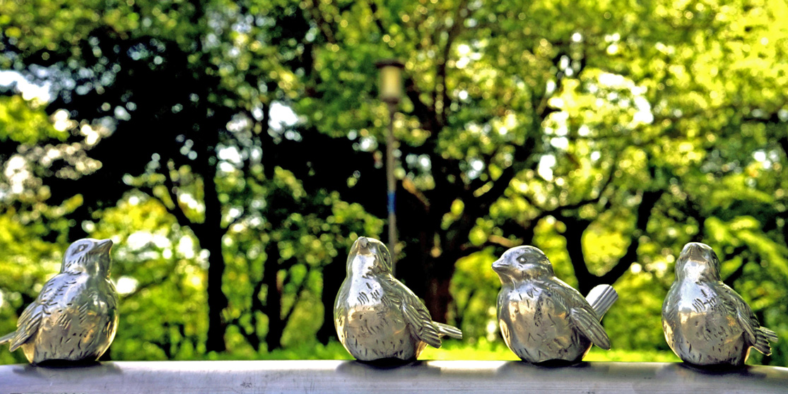 Birds perching under the tree