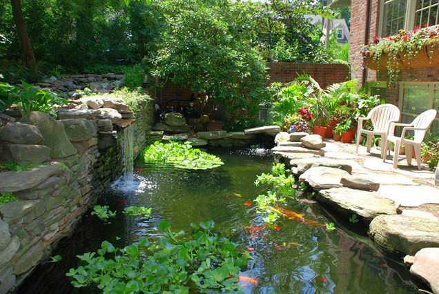 Pool view